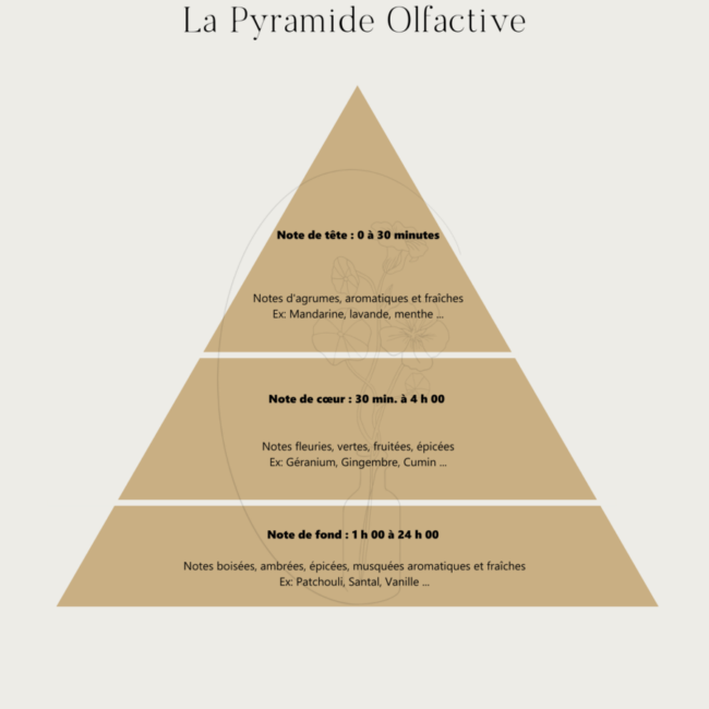 Les Pyramides et Familles Olfactives